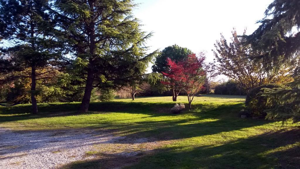 Al Campo Di Sotto Bed&Breakfast Buia Esterno foto