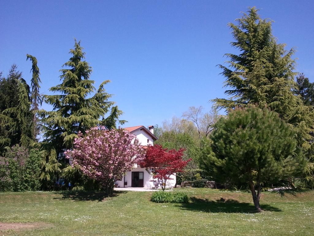 Al Campo Di Sotto Bed&Breakfast Buia Esterno foto