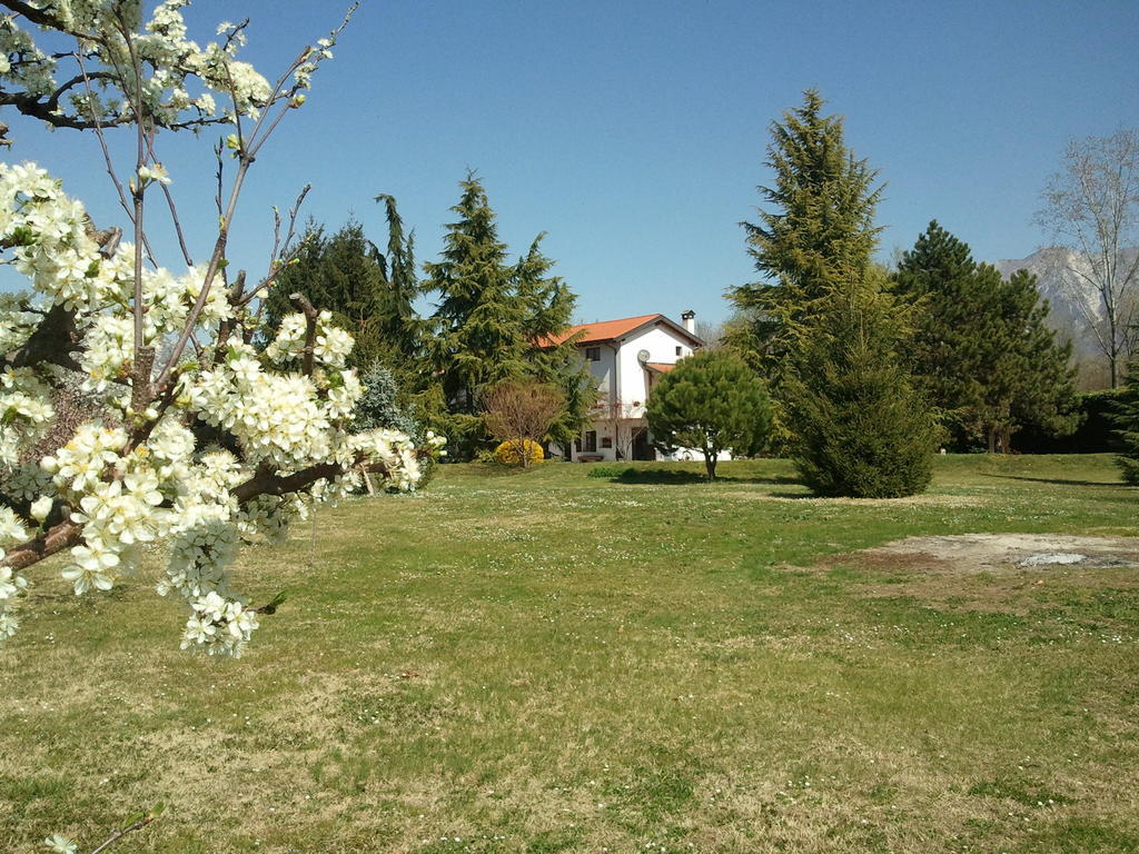 Al Campo Di Sotto Bed&Breakfast Buia Esterno foto